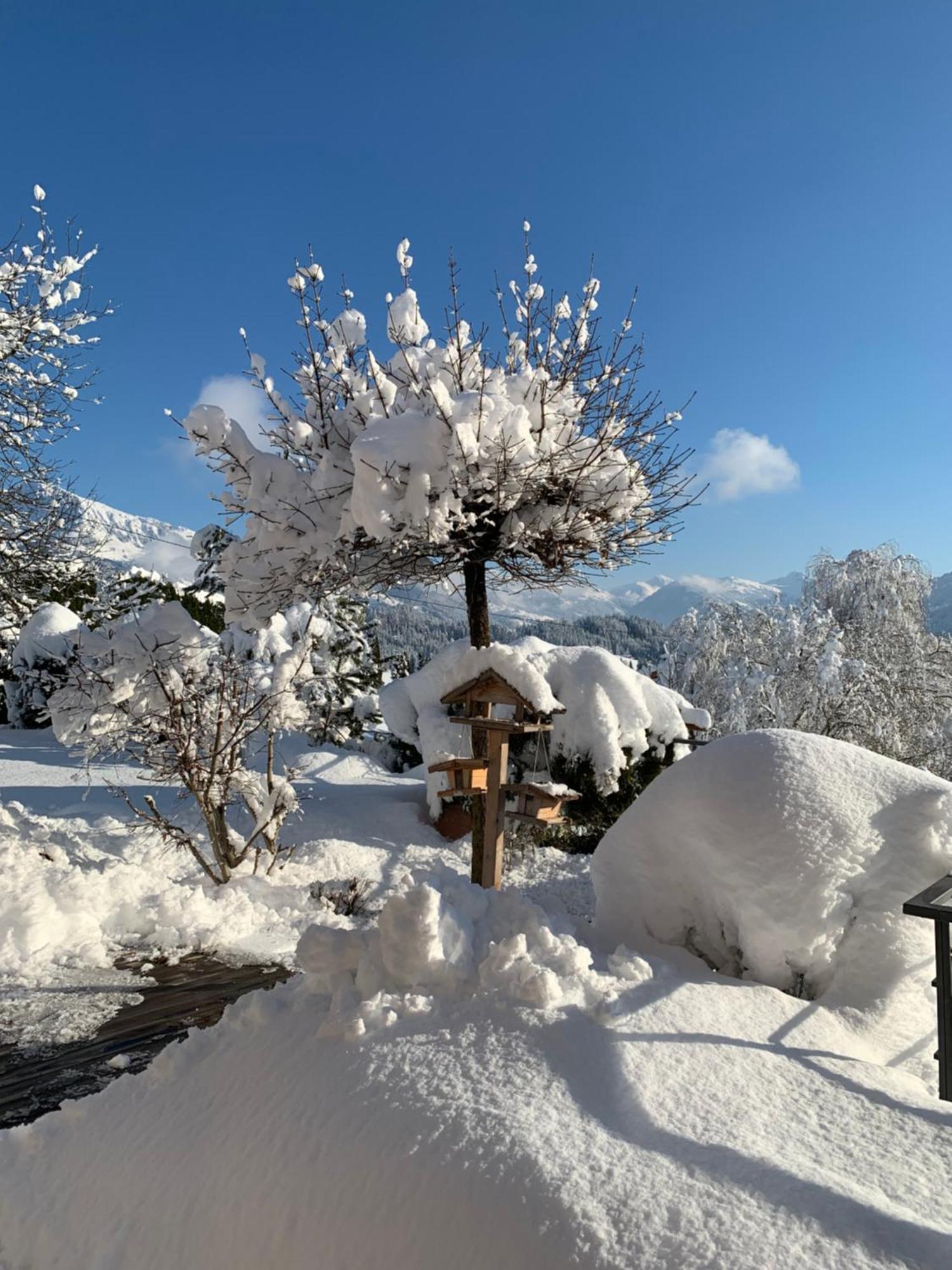 Chalet Kitzbichl By Alpin Charme Apartments Reith bei Kitzbühel Екстериор снимка